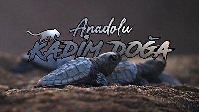 Anadolu Kadim Doğa: Türkiye'nin En İyi Doğa Belgeseli Geliyor!