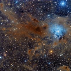  NGC 7023: The Iris Nebula