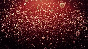 Gazlı İçeceklere ve Etkilerine Bilimsel Bir Bakış...