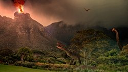 6. Yok oluş sizce nasıl olacak?