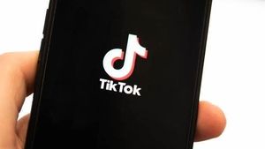 TikTok Sale Faces Delay Amid Legal And Political Turmoil