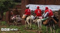 Sudan landslide: Aid workers use donkeys to reach Tarasin village in Darfur