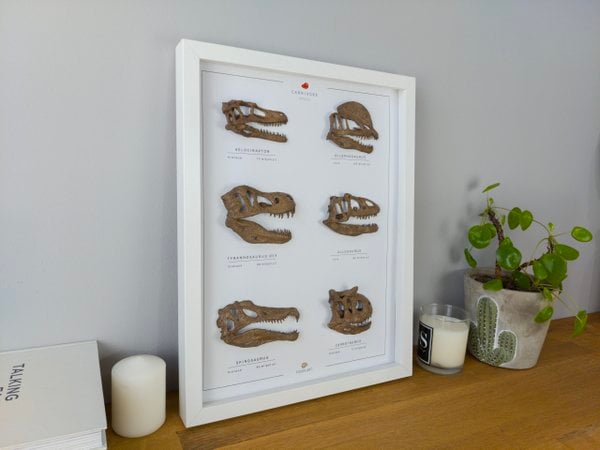 Etobur Dinozorlar 3 Boyutlu Çerçeve Tasarım