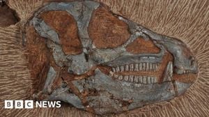 New Dinosaur Fossil Discoveries Emerge From British Columbia