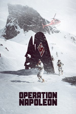 Napolyon Operasyonu