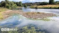 Drought declared for parts of Wales after record six months