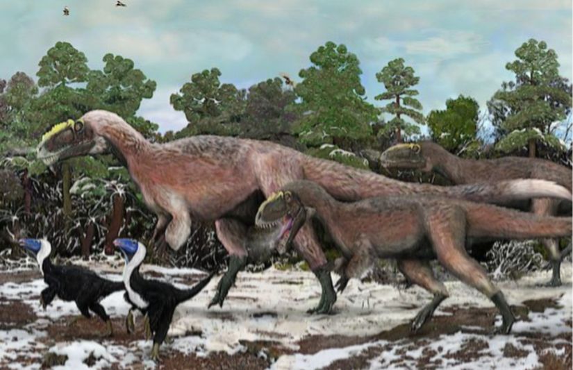 Yutyrannus