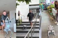 Lucas Rangel compra cachorro-robô de R$ 40 mil e divide opiniões na web