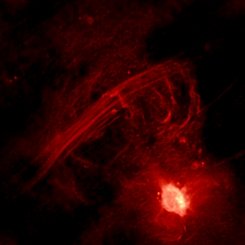 The Galactic Center Radio Arc