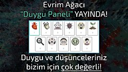 Evrim Ağacı Duygu Paneli Yayında!