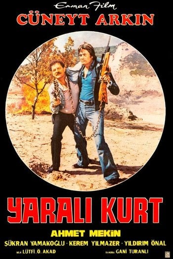 Yaralı Kurt