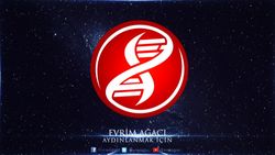 Evrim Ağacı'nın Yeni Logosu ve Yarışmamızın Kazananları Belli Oldu!