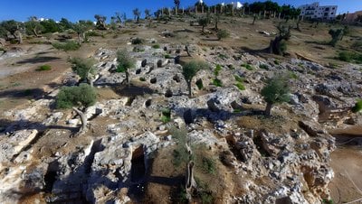 Araştırma Fenike Kültürünün Kültürel Alışveriş Yoluyla Yayıldığını Gösteriyor!