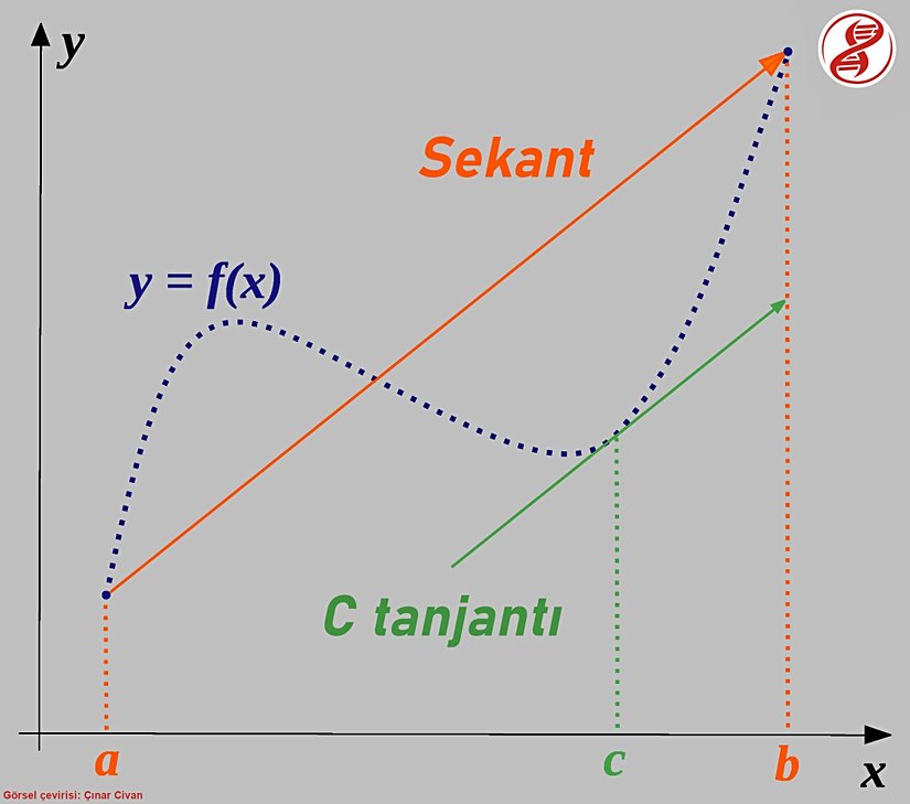 Görsel, Evrim Ağacı tarafından orijinal kaynağından Türkçeye çevrilmiştir.