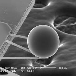 A Force from Empty Space: The Casimir Effect