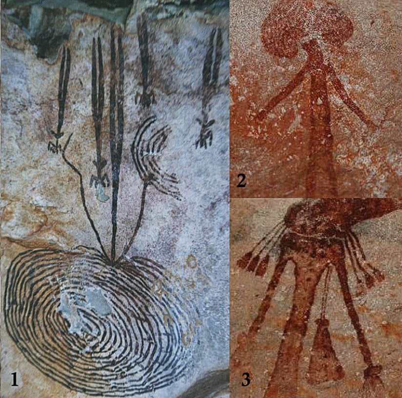 Bradshaw kaya sanatlarından 3 farklı örnek.