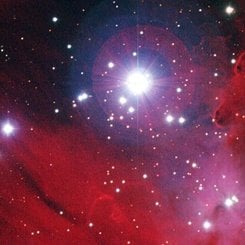 NGC 2264: Yıldızlar, Toz ve Gaz
