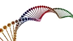DNA, Veri Taşıma Kapasitesi Olan Milyonlarca Genetik Molekülden Sadece Biri Olabilir!