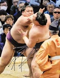 躍進対決王鵬制す　この一番　大相撲春場所９日目 | 全国のニュース | 福井新聞Ｄ刊