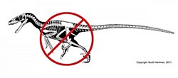 Utahraptor Aslında Hantaldı!