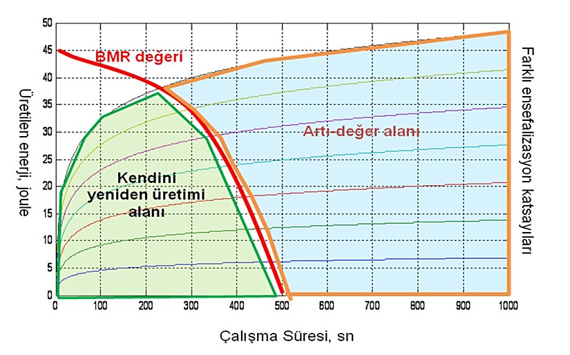 Şekil 4: Ensefalizasyon katsayısının artışı ile BMR için gerekli sürenin kısalması