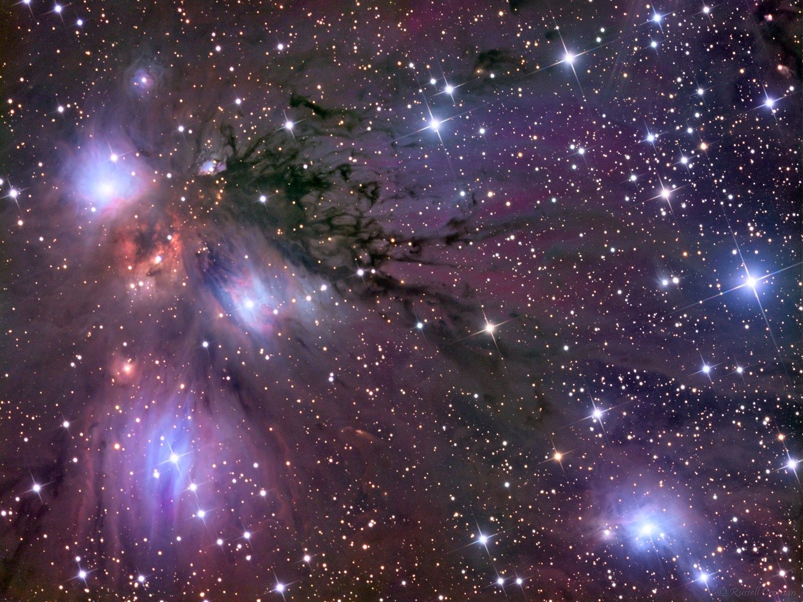 Stars, Dust and Nebula in NGC 2170