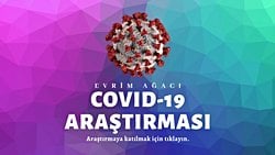 Evrim Ağacı COVID-19 Araştırmasına Katılın: Belirtilerinizi Bugün Belirtim.com Sistemine Girdiniz mi?