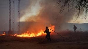 Ōshū City Forest Fire Spreads To 1200 Hectares