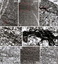 Aluminous phyllosilicates promote exceptional nanoscale preservation of biogeochemical heterogeneities in Archaean siliciclastic microbial mats - Nature Communications