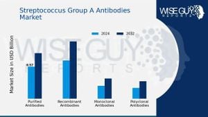 New Method Reveals Antibody Characteristics Against Group A Streptococcus