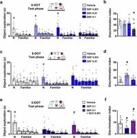 Cortico-striatal circuit mechanisms drive the effects of D1 dopamine agonists on memory capacity in mice through cAMP/PKA signalling - Nature Communications