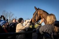 'The whole county seems to have backed him so how did Galopin go off so short?!'- Gold Cup hero returns home after Cheltenham glory