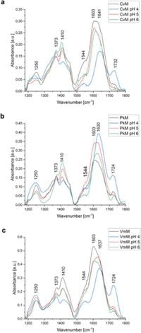 Lead biosorption and chemical composition of extracellular polymeric substances isolated from mixotrophic microalgal cultures - Scientific Reports