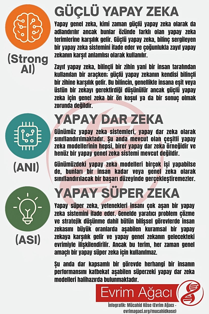 Yapay genel zeka teriminin dışında güçlü yapay zeka, yapay dar zeka ve yapay süper zeka terimlerinin ne anlama geldiğine dair bir infografik.