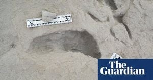 Kenyan Lakeside Footprints Reveal Ancient Encounters Of Two Hominin Species