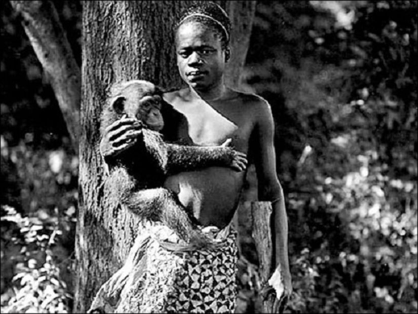 Ota Benga'nın Bronx Hayvanat Bahçesi'ndeki bir fotoğrafı... Bu fotoğraf Maymun Evi'nde çekilmedi, çünkü orada fotoğraf çekmek yasaktı. Zaten hayvanat bahçesi de ona ait sadece 5 fotoğraf yayınladı.