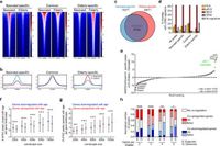 FOXM1 expression reverts aging chromatin profiles through repression of the senescence-associated pioneer factor AP-1 - Nature Communications
