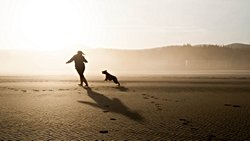 En Önemli 9 İnsan Değeri