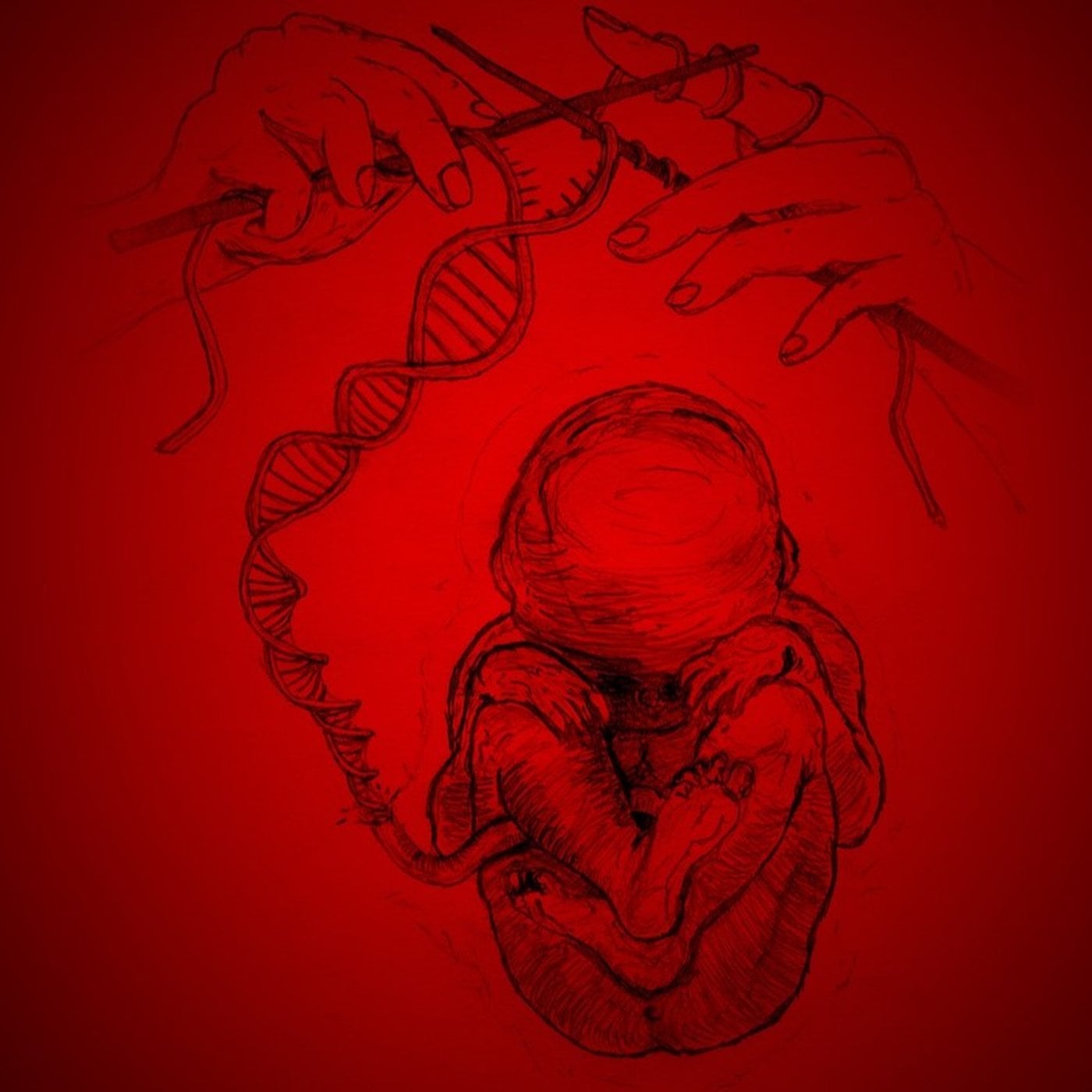 Evrim Ağacı ile Bilime Dair Her Şey!