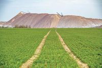 Belarus frees prominent political prisoners as US lifts some trade sanctions - Hawaii Tribune-Herald