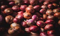 Govt lifts 20% duty on onion exports from April 1 as prices ease - CNBC TV18