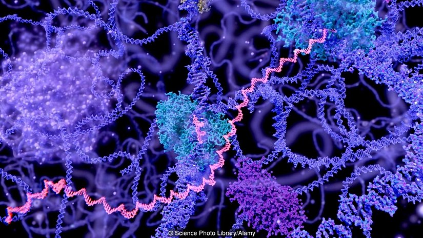İlk hücrelerin içlerinde yaşamın kimyasını barındırması bekleniyordu.