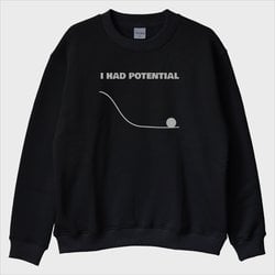 ''I Had Potential'' Sweatshirt