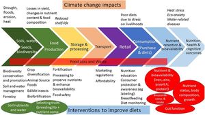 Coastal Communities Struggle Against Climate Change