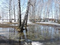 Магнитная буря с 23 марта двое суток будет бушевать в Новосибирской области - Искитимская газета