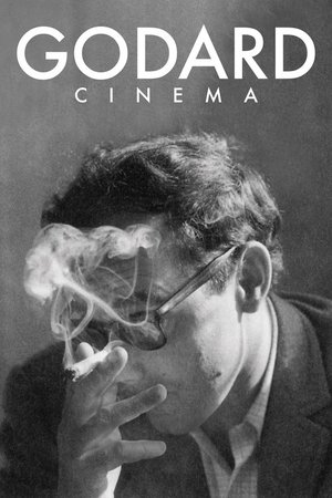Godard, Yalnız Sinema