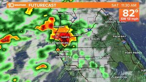 Rain Showers Impact Tampa Before Sunny Weather Returns