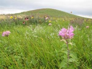 New Task Force Aims To Use Federal Lands For Affordable Housing