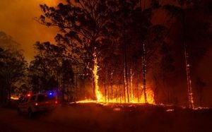 Australian Wildfires Spark Emergency Responses Across Melbourne