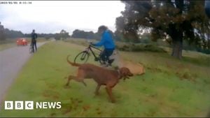 Dog Attack Shatters Richmond Park's Peace